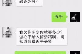 商洛债务清欠服务